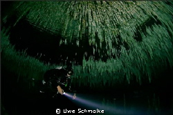 Mexican cenote by Uwe Schmolke 